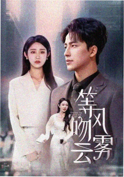 都市群像剧集题材图鉴封面